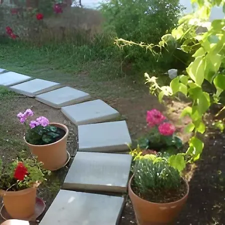 In - Sibenik Riviera 45759 * Primošten